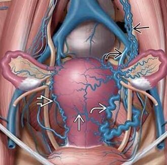 Change the structure of the vascular walls